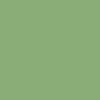 Vert pâle mat