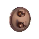 robinet-de-douche-thermostatique-a-encaster-liberty-traite-cuivre.webp