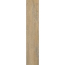 TRUNK-HONEY dec.jpg