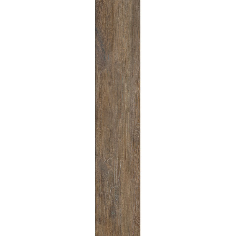 338104.jpg
