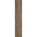 338104.jpg