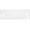 14917.webp