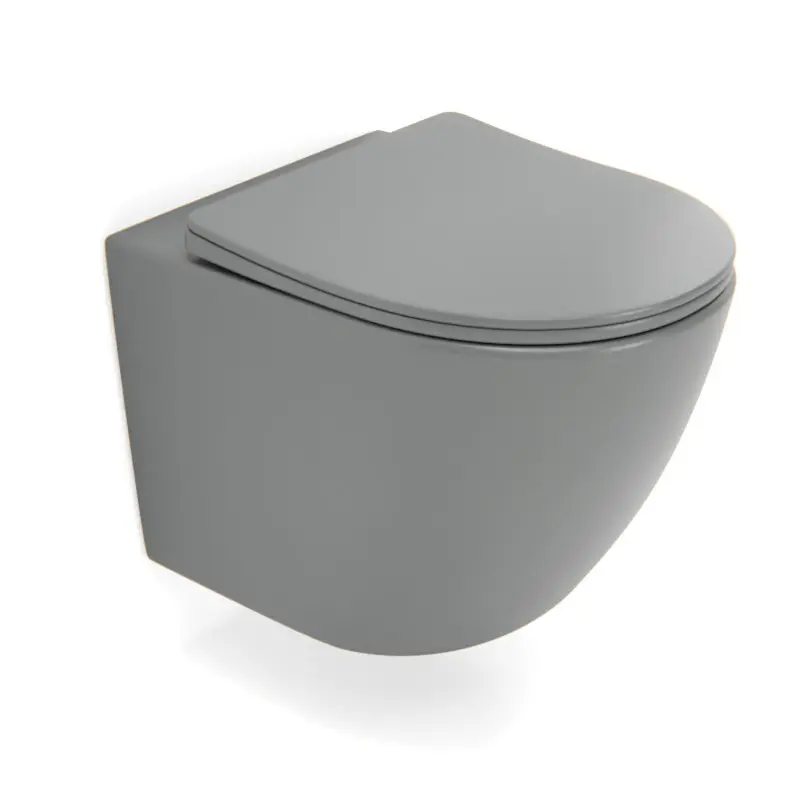 [B2342MH] WC Suspendu compact, 49x37 cm, Gris ciment mat, Celia.webp