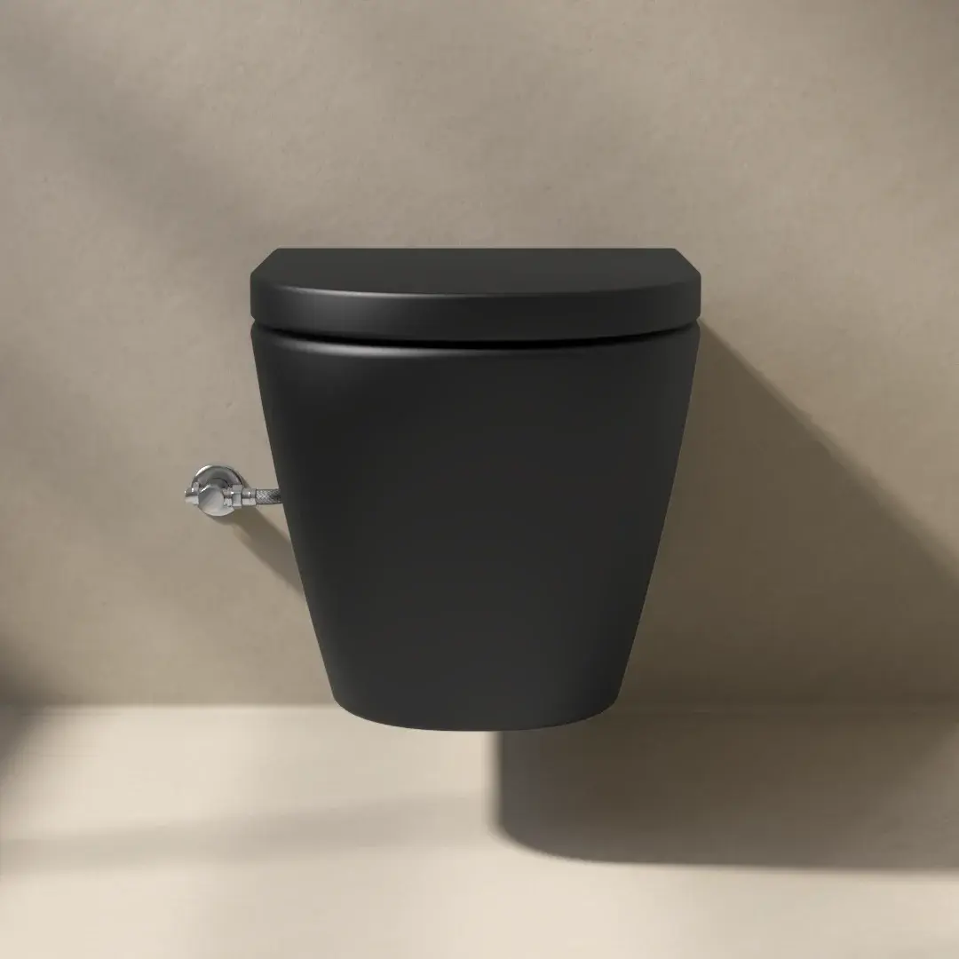 WC suspendu ne nécessitant pas de réservoir + abattant + bâti-support, noir mat, W1.0