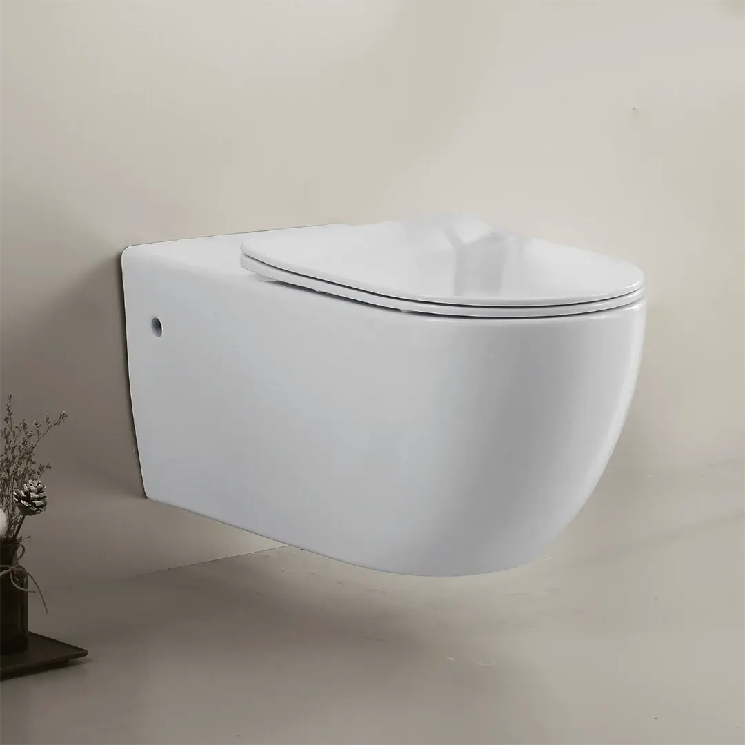 WC Suspendu Personnes à mobilité réduite (PMR)