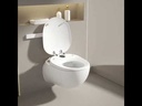 Présentation WC Suspendu