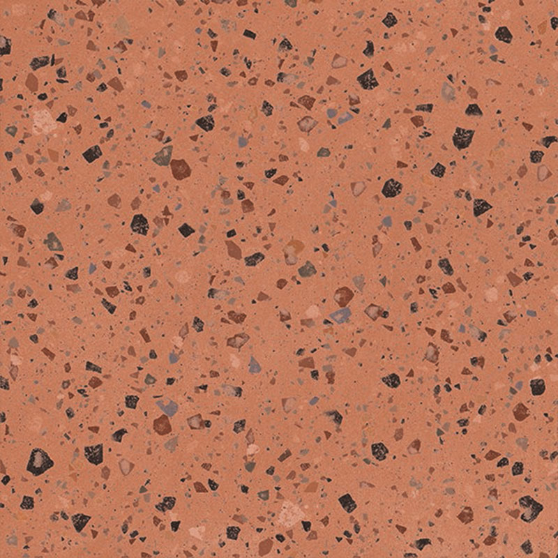 338778.jpg