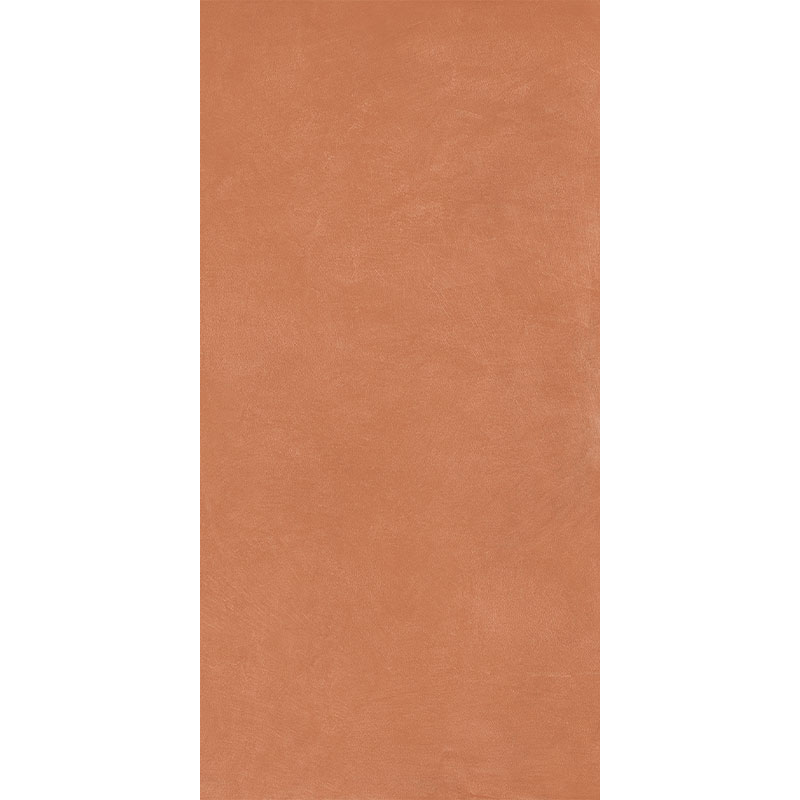 338789.jpg