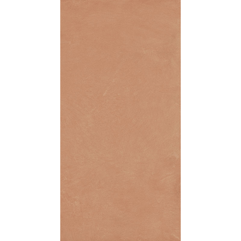 338802.jpg