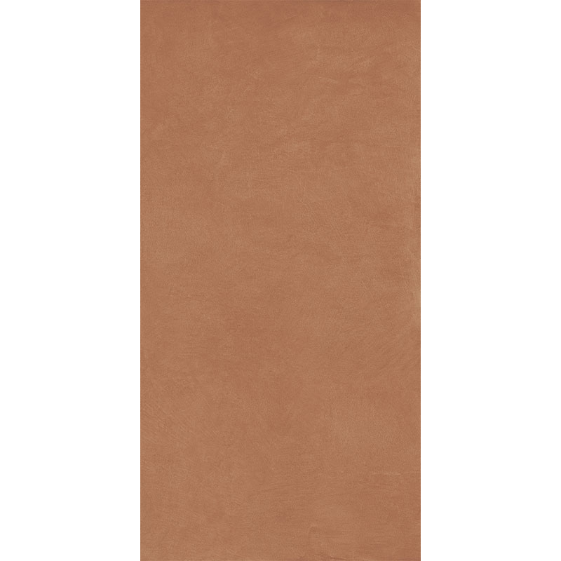 338815.jpg