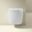 350109.jpg