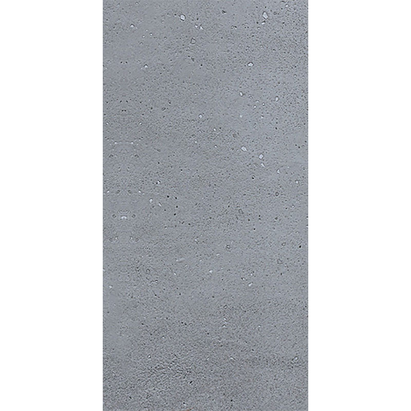 338116.jpg