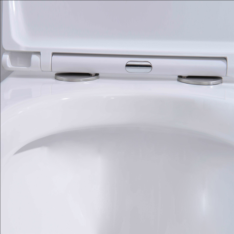 WC Suspendu Personnes à mobilité réduite (PMR)