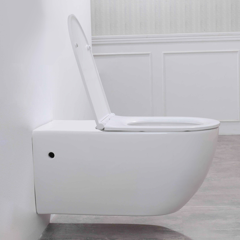WC Suspendu Personnes à mobilité réduite (PMR)