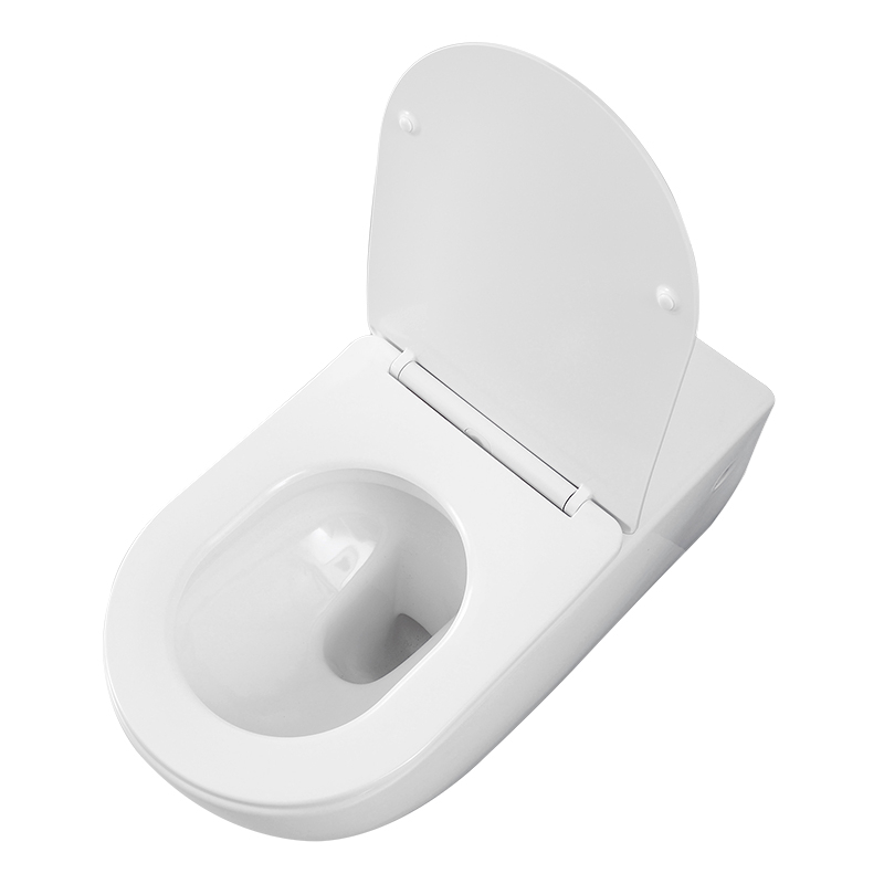 WC Suspendu Personnes à mobilité réduite (PMR)