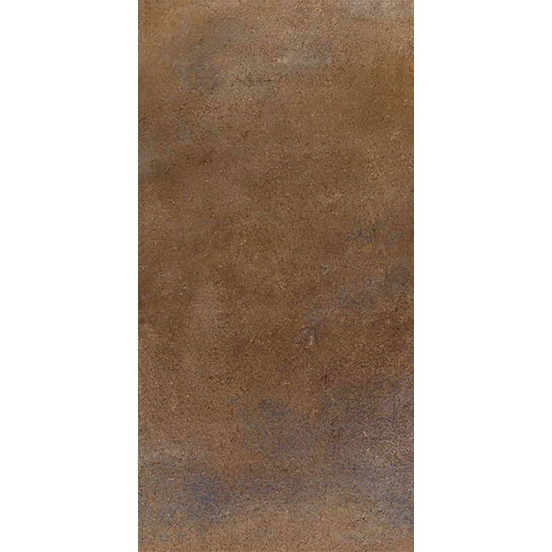 338107.jpg