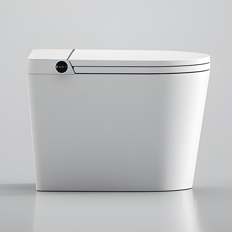 WC à poser réservoir intégré  abattant chauffant, E-flow 58 cm