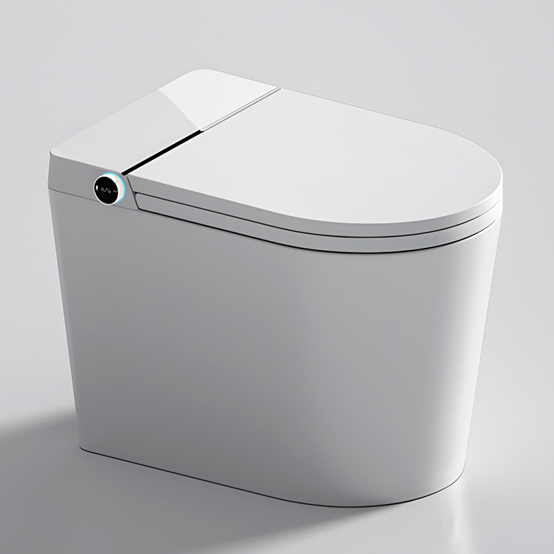 WC à poser réservoir intégré  abattant chauffant, E-flow 58 cm