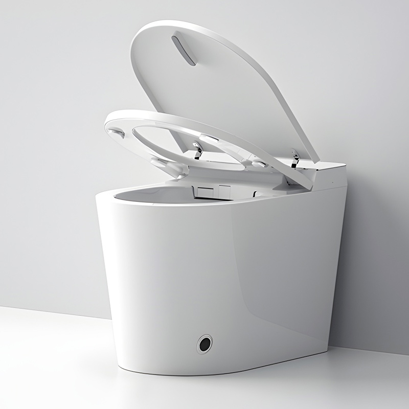 WC à poser réservoir intégré  abattant chauffant, E-flow 58 cm
