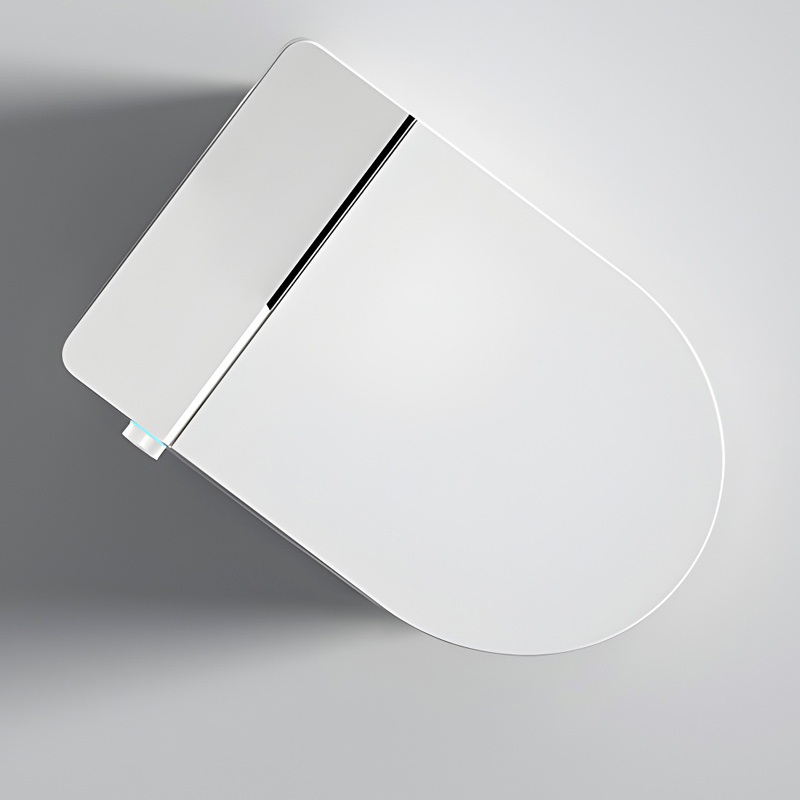 WC à poser réservoir intégré  abattant chauffant, E-flow 58 cm