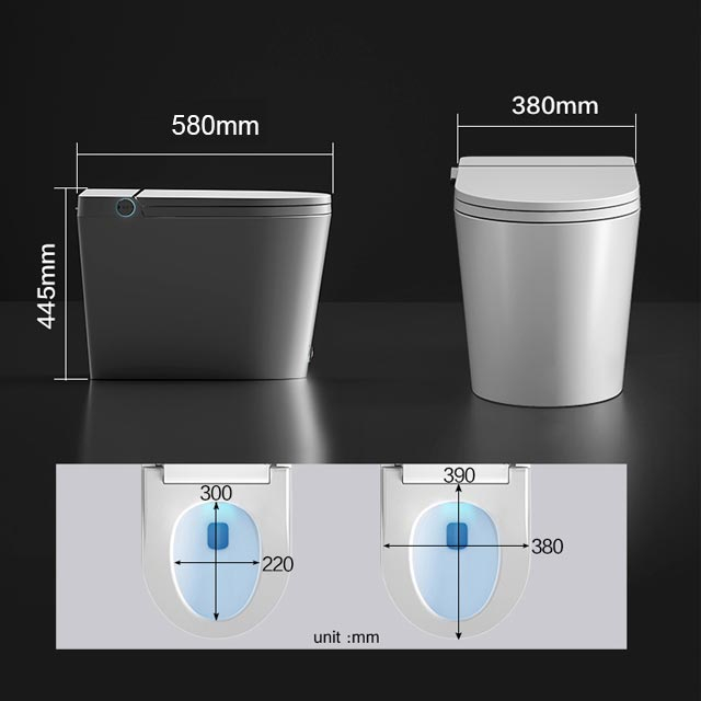 WC à poser réservoir intégré  abattant chauffant, E-flow 58 cm