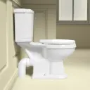 335334.jpg
