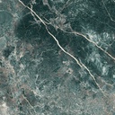 339669.jpg