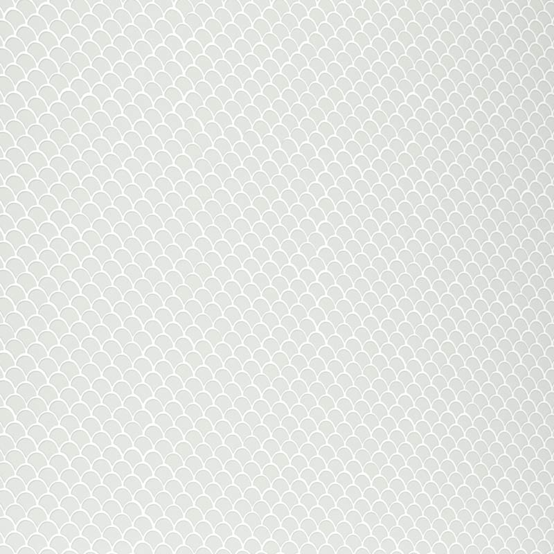 329822.jpg