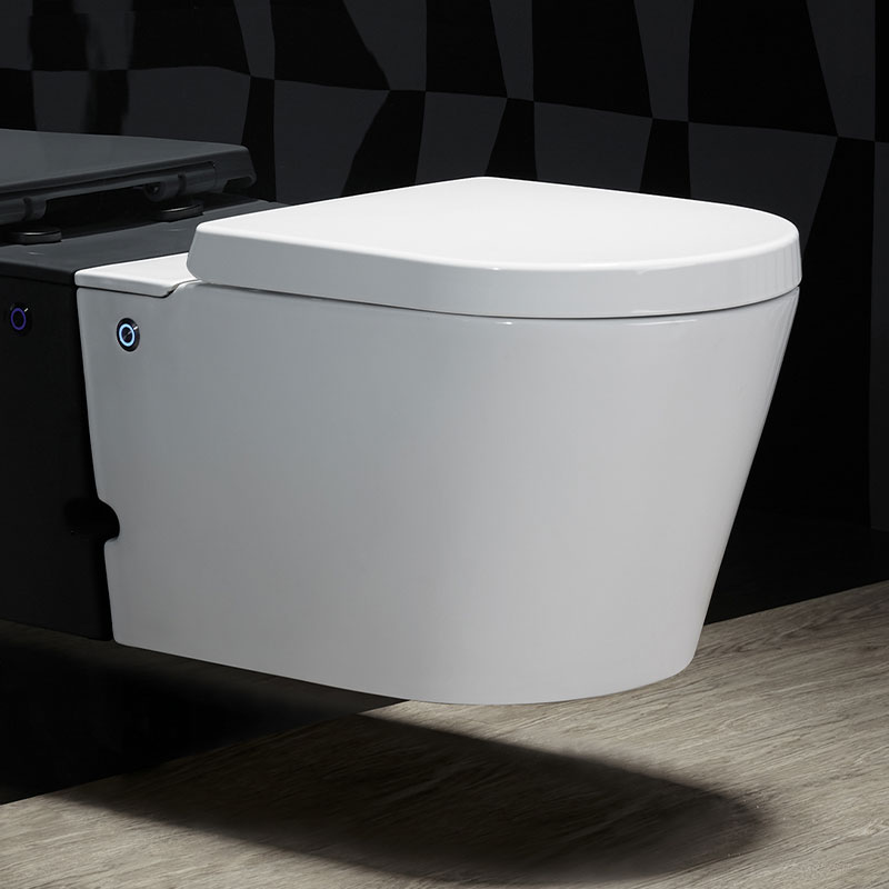 WC suspendu ne nécessitant pas de réservoir + abattant + bâti-support, W1.0