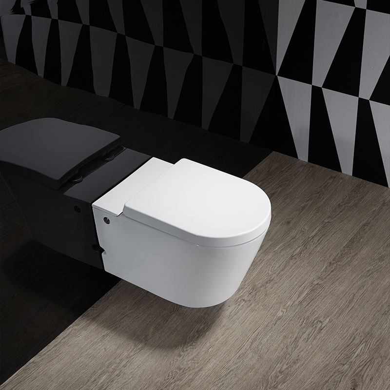 WC suspendu ne nécessitant pas de réservoir + abattant + bâti-support, W1.0