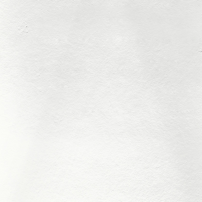 331513.jpg