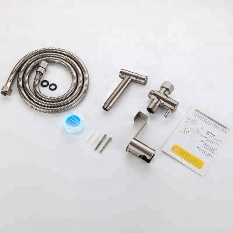 Set douchette hygiénique inox brossé pour WC à poser, Steel