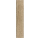 TRUNK_HONEY.jpg