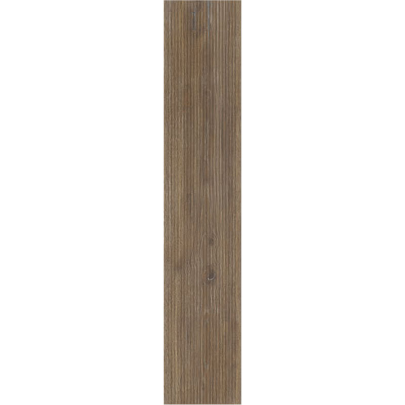 338103.jpg