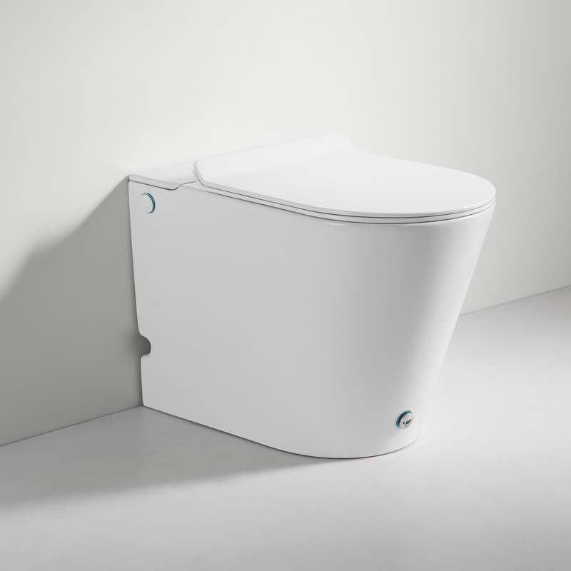 WC à poser blanc brillant ne nécessitant pas de réservoir + abattant, W3.0