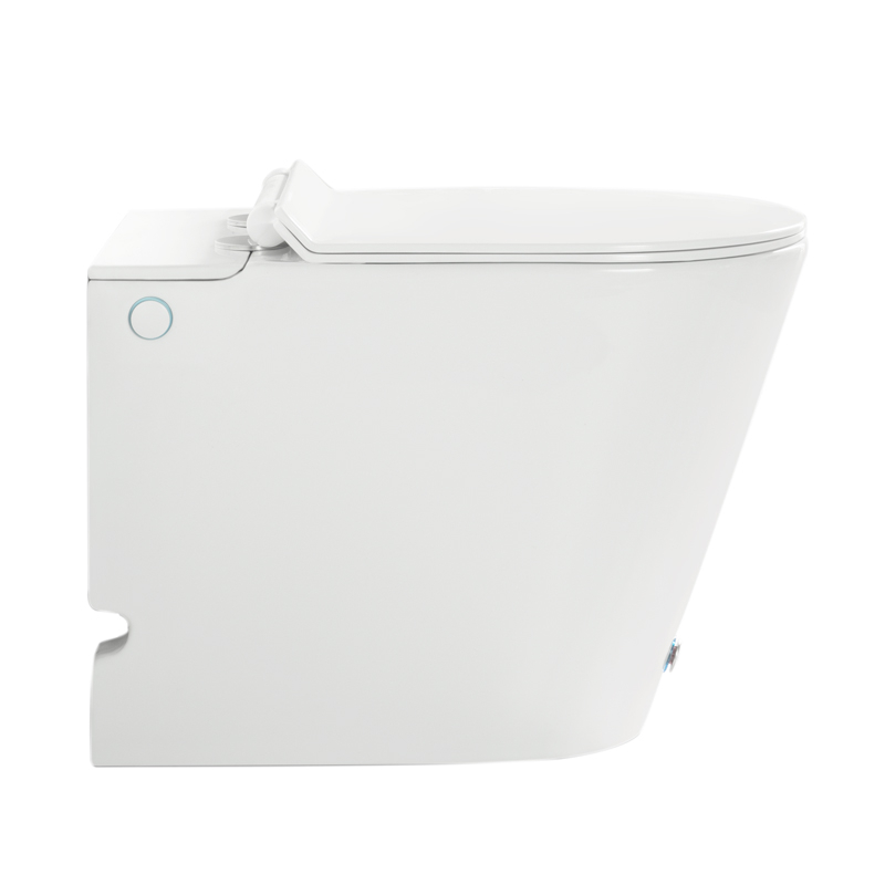 WC à poser blanc brillant ne nécessitant pas de réservoir + abattant, W3.0
