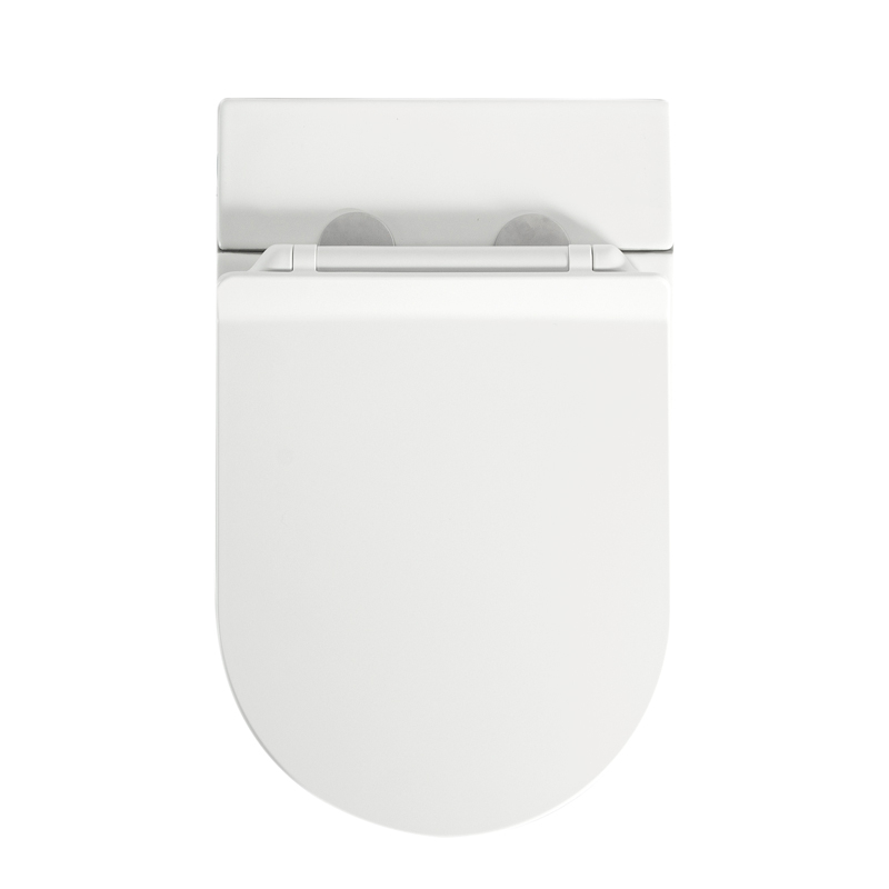 WC à poser blanc brillant ne nécessitant pas de réservoir + abattant, W3.0