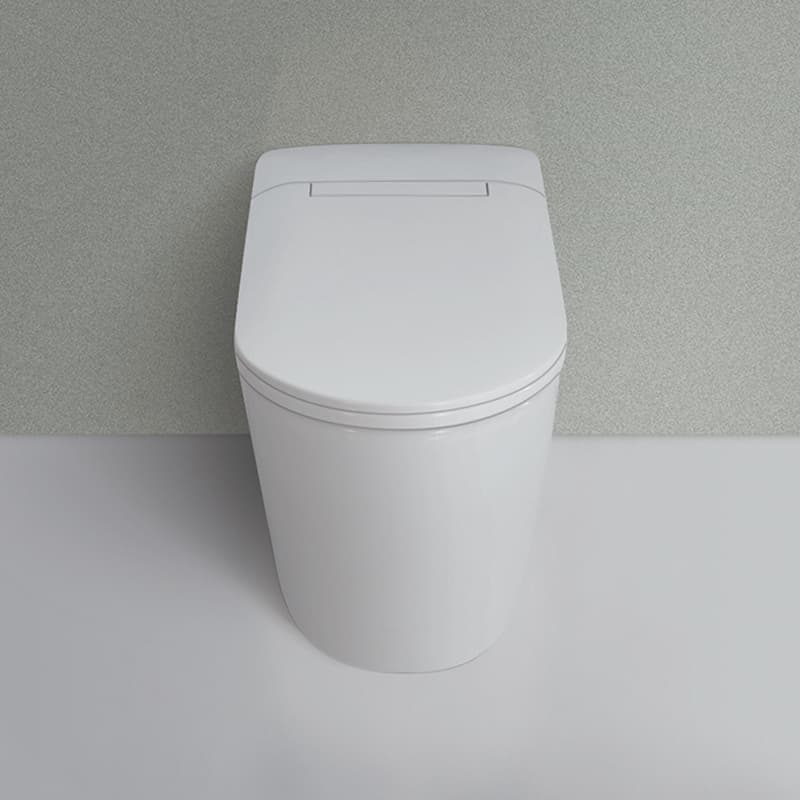 WC à poser blanc brillant à réservoir intégré, Venturi