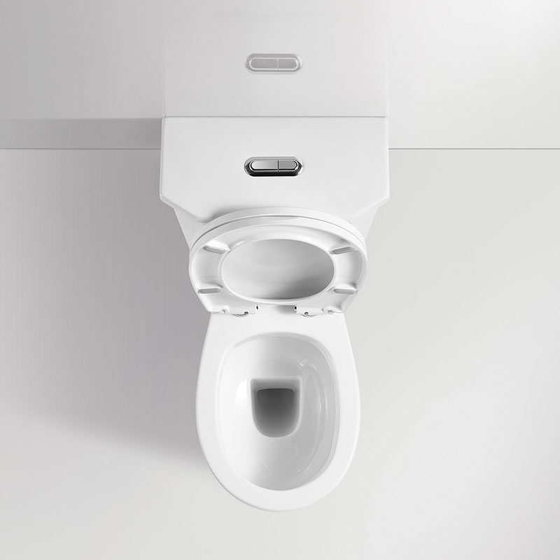 WC à poser rétro + abattant soft-close, 1920