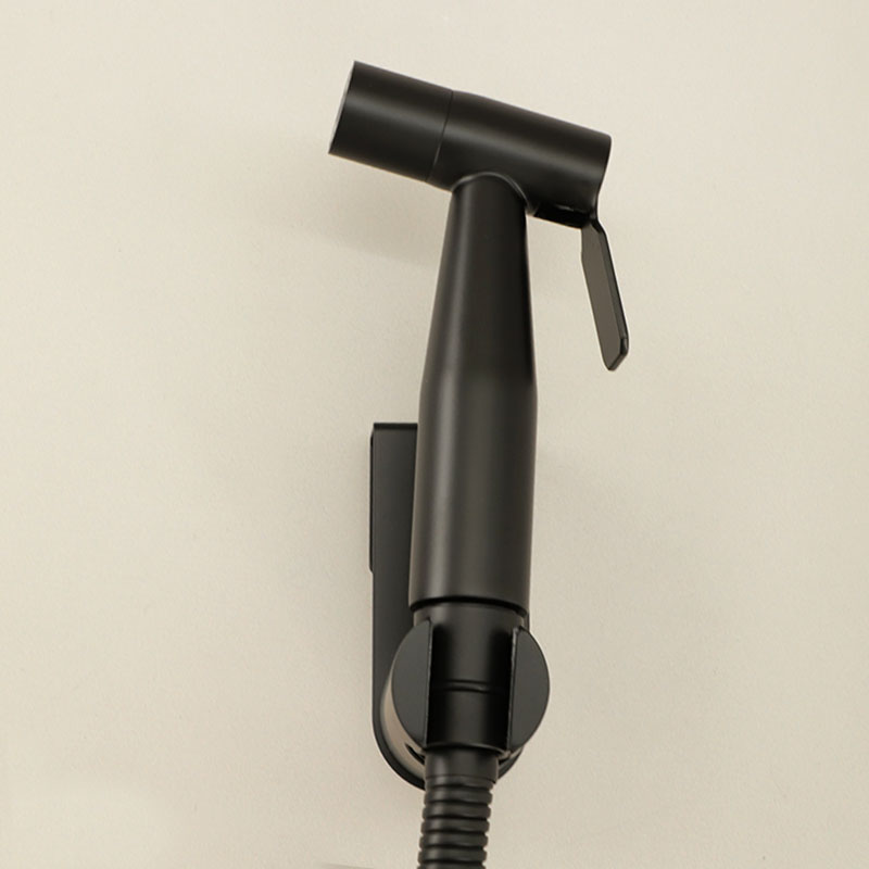 Douchette hygiénique Noir brossé, Châtelet