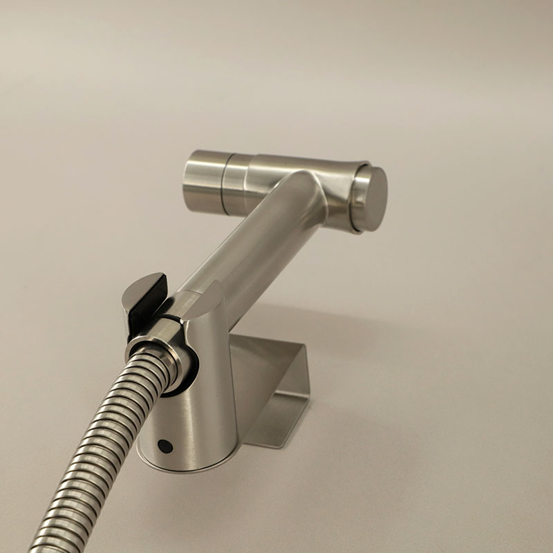 Set douchette hygiénique inox brossé pour WC à poser, Steel