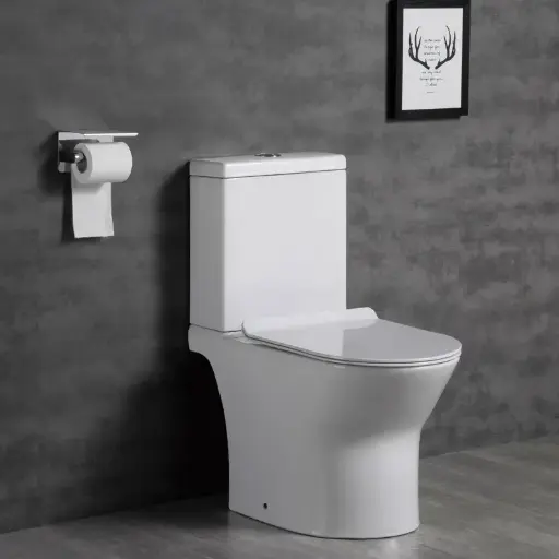 WC à poser Rimless avec abattant, Jules