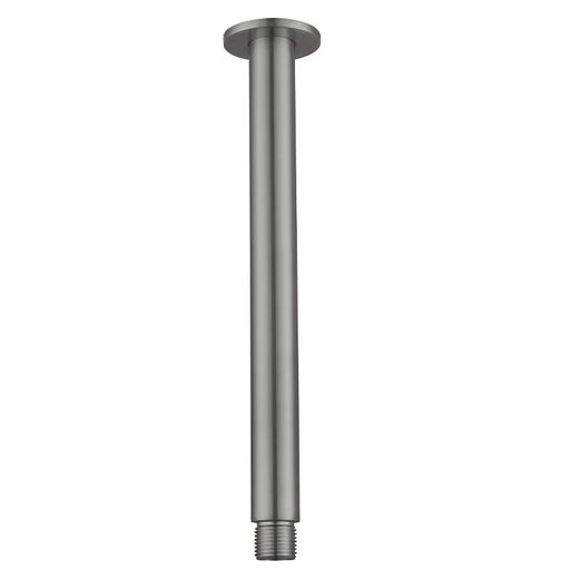 Bras de douche plafond, inox brossé