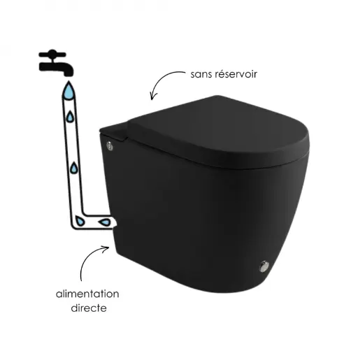 WC à poser noir mat ne nécessitant pas de réservoir + abattant, W3.0