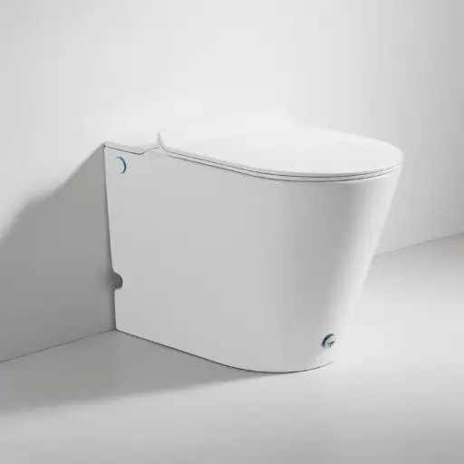 WC à poser blanc brillant ne nécessitant pas de réservoir + abattant, W3.0