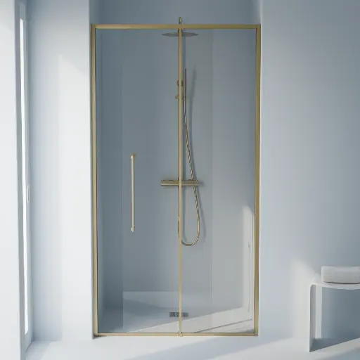 Porte de douche Coulissante de 106.8 à 168.5 cm Dorée brossé, Paro 