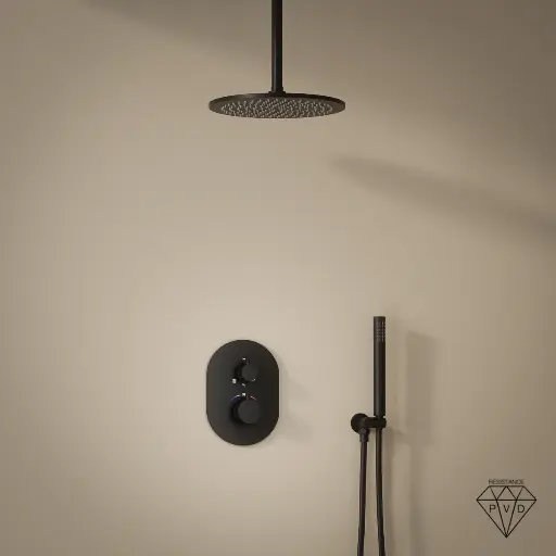 Composition mitigeur de douche thermostatique encastré noir brossé PVD, bras plafond, Châtelet 
