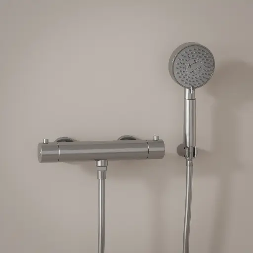 Mitigeur douche Thermostatique externe, support et douchette ronde, inox brossé, Chatelet